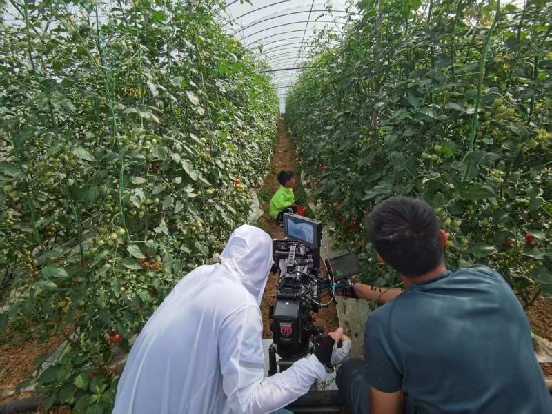 郴州产品宣传视频拍摄公司进阶指南，助力品牌抢占传播高地